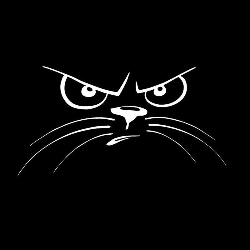 Adesivo Auto Faccia di Gatto - Cargadget.it