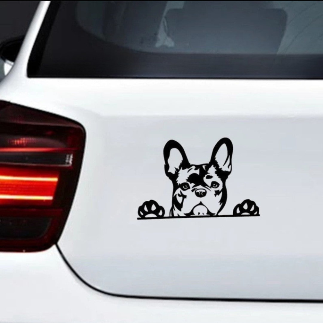 Sticker Adesivo Riflettente Cane per Auto - cargadget.it