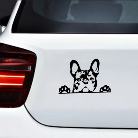 Sticker Adesivo Riflettente Cane per Auto - cargadget.it
